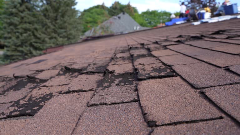 Best Roof Installation  in Caledonia, WI